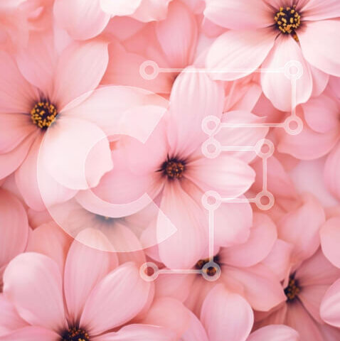 Intra Συλλεκτικό Ξύλινο Παζλ Plywood  4mm - Σύνθεση με ζωηρά ροζ λουλούδια Σε Ξύλινο Κουτί - Διαστάσεις: 10x10 cm – 25 κομμάτια - Image 1