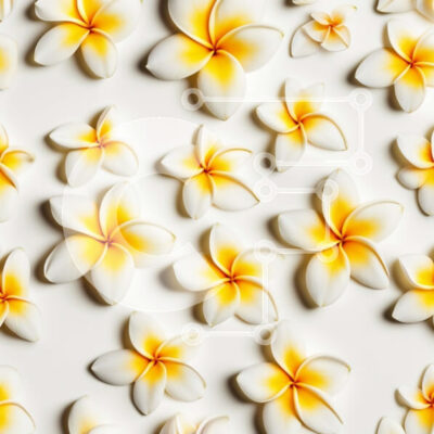 Intra Συλλεκτικό Ξύλινο Παζλ Plywood  4mm - Όμορφη εικόνα από κοντά ενός κίτρινου και λευκού λουλουδιού Plumeria Σε Ξύλινο Κουτί - Διαστάσεις: 10x10 cm – 25 κομμάτια - Image 1