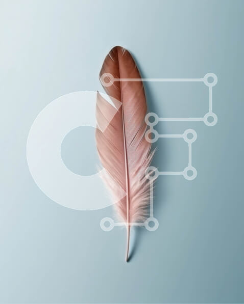 2imM2rKnM2miBoxqDXoJ7jFdRcG-desktop