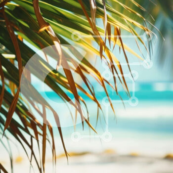 Intra Συλλεκτικό Ξύλινο Παζλ Plywood  4mm - Φοίνικας στην παραλία με θέα στον ωκεανό Σε Ξύλινο Κουτί - Διαστάσεις: 10x10 cm – 25 κομμάτια - Image 1