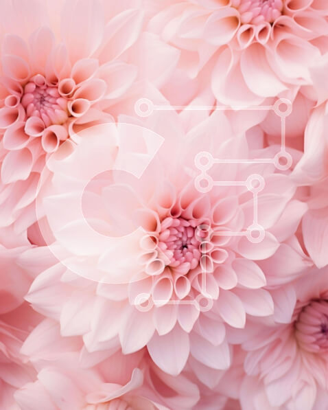 Intra Συλλεκτικό Ξύλινο Παζλ Plywood  4mm - Κοντινό πλάνο της ρύθμισης ροζ λουλουδιών Σε Ξύλινο Κουτί - Διαστάσεις: 10x10 cm – 25 κομμάτια