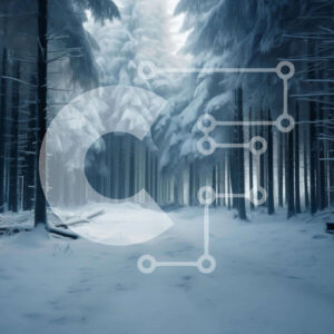 Intra Συλλεκτικό Ξύλινο Παζλ Plywood  4mm - Χιονισμένο δάσος με ψηλά δέντρα και μονοπάτι Σε Ξύλινο Κουτί - Διαστάσεις: 10x10 cm – 25 κομμάτια