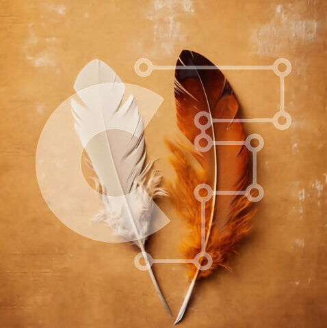 Intra Συλλεκτικό Ξύλινο Παζλ Plywood 4mm - Όμορφη εικόνα ενός φτερού σε ουδέτερο φόντο Σε Ξύλινο Κουτί - Διαστάσεις: 10x10 cm – 25 κομμάτια - Image 1