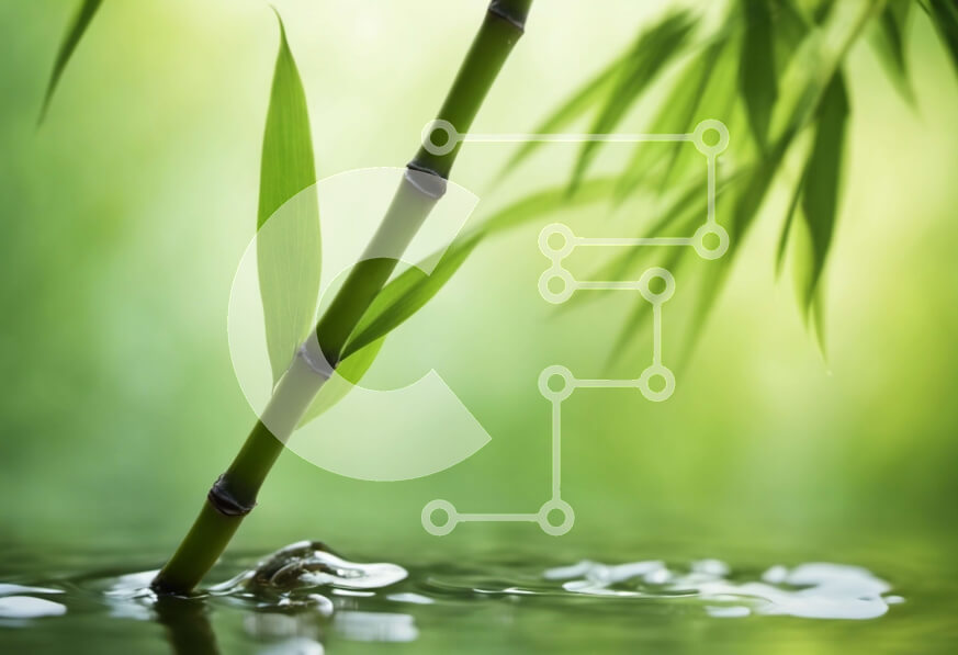 Intra Συλλεκτικό Ξύλινο Παζλ Plywood  4mm - Μίσχος μπαμπού βυθισμένος στο νερό με έναν βάτραχο και σταγόνες νερού Σε Ξύλινο Κουτί - Διαστάσεις: 10x10 cm – 25 κομμάτια