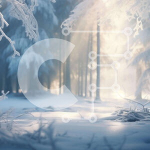 Intra Συλλεκτικό Ξύλινο Παζλ Plywood  4mm - Χιονισμένο δάσος με το φως του ήλιου να ρέει μέσα από δέντρα Σε Ξύλινο Κουτί - Διαστάσεις: 10x10 cm – 25 κομμάτια