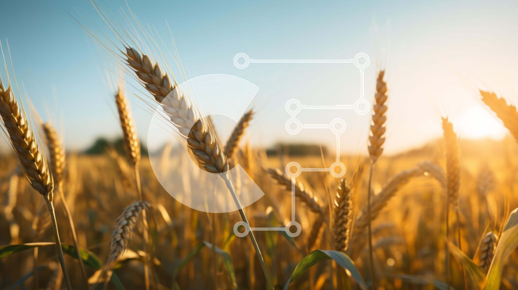 Intra Συλλεκτικό Ξύλινο Παζλ Plywood  4mm - Χρυσό σιτάρι με το ηλιοβασίλεμα Σε Ξύλινο Κουτί - Διαστάσεις: 10x10 cm – 25 κομμάτια