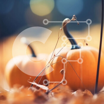 Intra Συλλεκτικό Ξύλινο Παζλ Plywood  4mm - Τρεις διακοσμημένες κολοκύθες σε ένα σωρό φύλλα Σε Ξύλινο Κουτί - Διαστάσεις Puzzle: 10x10 cm – 25 κομμάτια - Image 1