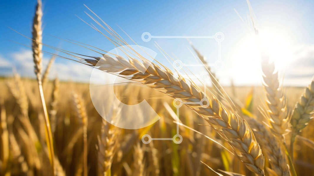 Intra Συλλεκτικό Ξύλινο Παζλ Plywood  4mm - Χρυσό σιτάρι με λαμπερό ήλιο Σε Ξύλινο Κουτί - Διαστάσεις: 10x10 cm – 25 κομμάτια