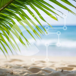 Intra Συλλεκτικό Ξύλινο Παζλ Plywood  4mm - Φύλλο φοίνικα στην παραλία Σε Ξύλινο Κουτί - Διαστάσεις: 10x10 cm – 25 κομμάτια