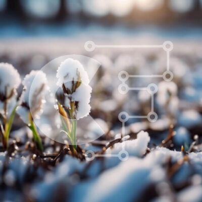 Intra Συλλεκτικό Ξύλινο Παζλ Plywood  4mm - Χιονισμένο χωράφι με μικρά φυτά Σε Ξύλινο Κουτί - Διαστάσεις: 10x10 cm – 25 κομμάτια - Image 1