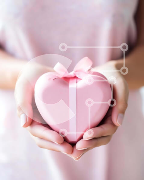 2imN5KPfOvdsWs7GsokgL6HSzOX-desktop