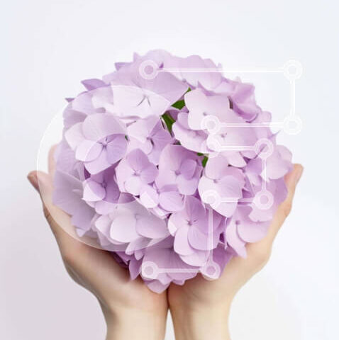 Intra Συλλεκτικό Ξύλινο Παζλ Plywood  4mm - Κομψά Γυναικεία Χέρια με Μωβ Μπουκέτο Σε Ξύλινο Κουτί - Διαστάσεις Puzzle: 10x10 cm – 25 κομμάτια - Image 1