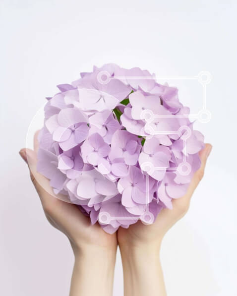 Intra Συλλεκτικό Ξύλινο Παζλ Plywood  4mm - Κομψά Γυναικεία Χέρια με Μωβ Μπουκέτο Σε Ξύλινο Κουτί - Διαστάσεις Puzzle: 10x10 cm – 25 κομμάτια