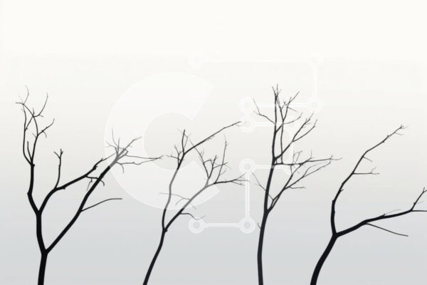 2imNXUI4AO1S7imJvn6iEGrdXyU-desktop