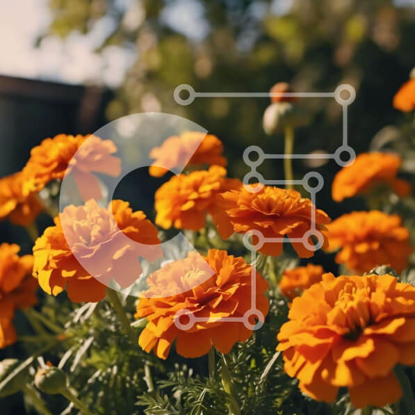 2imNcb3WVWtfhX8oTQkgFgRTaIX-desktop