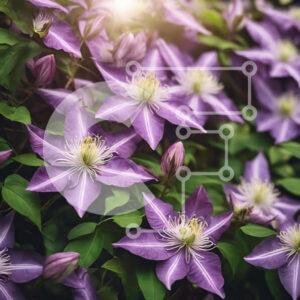 Intra Συλλεκτικό Ξύλινο Παζλ Plywood  4mm - Μωβ Clematis λουλούδια ανθισμένα με λαμπερή ηλιοφάνεια Σε Ξύλινο Κουτί - Διαστάσεις: 10x10 cm – 25 κομμάτια