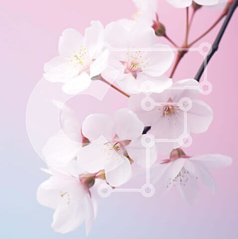 Intra Συλλεκτικό Ξύλινο Παζλ Plywood 4mm - Ανθισμένα άνθη λευκής κερασιάς την άνοιξη Σε Ξύλινο Κουτί - Διαστάσεις: 10x10 cm – 25 κομμάτια - Image 1