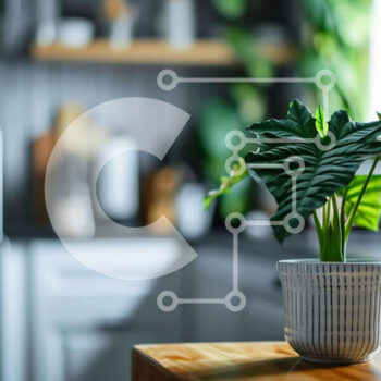 Intra Συλλεκτικό Ξύλινο Παζλ Plywood  4mm - Λευκό φυτό σε γλάστρα σε ξύλινο τραπέζι στην κουζίνα Σε Ξύλινο Κουτί - Διαστάσεις Puzzle: 10x10 cm – 25 κομμάτια - Image 1