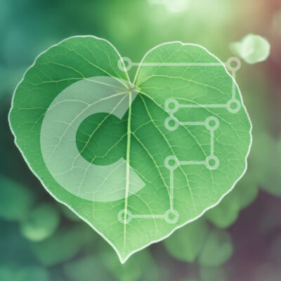 Intra Συλλεκτικό Ξύλινο Παζλ Plywood  4mm - Φύλλο σε σχήμα καρδιάς σε πράσινο φόντο Σε Ξύλινο Κουτί - Διαστάσεις: 10x10 cm – 25 κομμάτια - Image 1