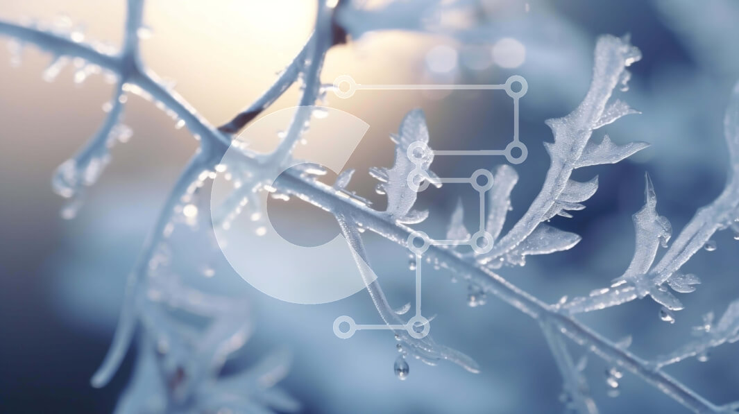 Intra Συλλεκτικό Ξύλινο Παζλ Plywood  4mm - Κοντινό πλάνο του παγωμένου κλάδου με παγετό και κρύσταλλα πάγου Σε Ξύλινο Κουτί - Διαστάσεις: 10x10 cm – 25 κομμάτια