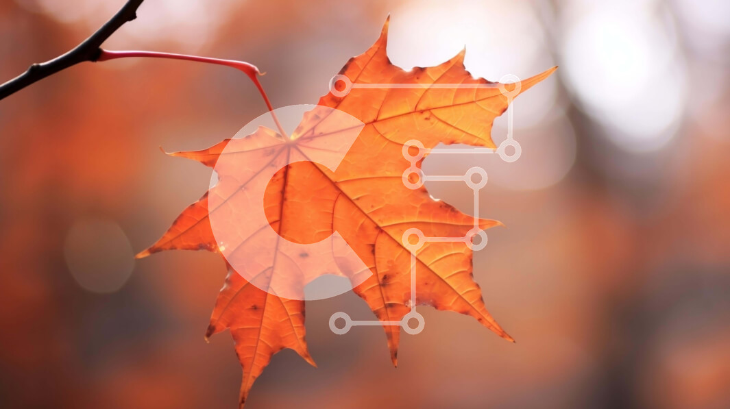 Intra Συλλεκτικό Ξύλινο Παζλ Plywood  4mm - Φθινοπωρινό πορτοκαλί φύλλο που κρέμεται από κλαδί Σε Ξύλινο Κουτί - Διαστάσεις: 10x10 cm – 25 κομμάτια