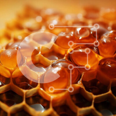 Intra Συλλεκτικό Ξύλινο Παζλ Plywood  4mm - Γκρο πλαν άποψη της κηρήθρας με μέλι Σε Ξύλινο Κουτί - Διαστάσεις: 10x10 cm – 25 κομμάτια - Image 1