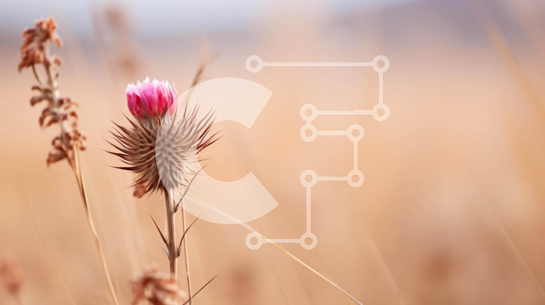 Intra Συλλεκτικό Ξύλινο Παζλ Plywood  4mm - Μονό ροζ λουλούδι σε ψηλά χόρτα Σε Ξύλινο Κουτί - Διαστάσεις: 10x10 cm – 25 κομμάτια