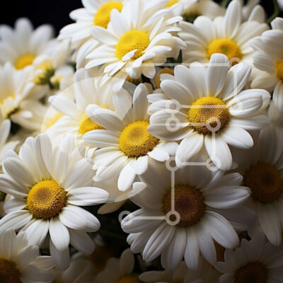 Intra Συλλεκτικό Ξύλινο Παζλ Plywood 4mm - Όμορφη λευκή ανθοδέσμη σε βάζο Σε Ξύλινο Κουτί - Διαστάσεις: 10x10 cm – 25 κομμάτια - Image 1