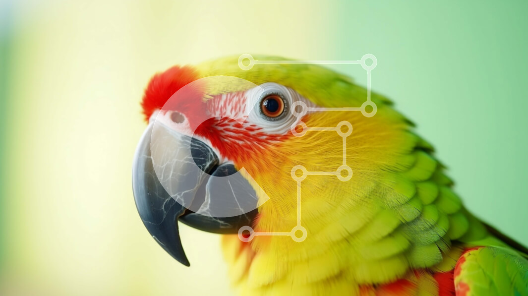 Intra Συλλεκτικό Ξύλινο Παζλ Plywood  4mm - Πολύχρωμος παπαγάλος που στέκεται σε πορτοκαλί φόντο Σε Ξύλινο Κουτί - Διαστάσεις: 10x10 cm – 25 κομμάτια