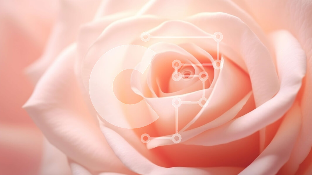 Intra Συλλεκτικό Ξύλινο Παζλ Plywood  4mm - Κοντινό πλάνο ροζ τριαντάφυλλο Σε Ξύλινο Κουτί - Διαστάσεις: 10x10 cm – 25 κομμάτια