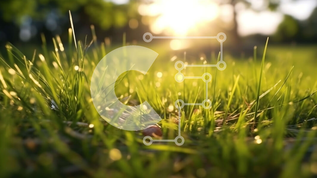 Intra Συλλεκτικό Ξύλινο Παζλ Plywood  4mm - Όμορφη κινηματογράφηση σε πρώτο πλάνο της ζωντανής πράσινης χλόης σε ένα πάρκο στο ηλιοβασίλεμα Σε Ξύλινο Κουτί - Διαστάσεις Puzzle: 10x10 cm – 25 κομμάτια