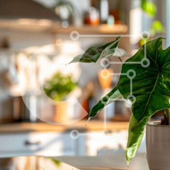 Intra Συλλεκτικό Ξύλινο Παζλ Plywood  4mm - Λευκό φυτό σε γλάστρα σε μια καλά συντηρημένη κουζίνα Σε Ξύλινο Κουτί - Διαστάσεις Puzzle: 10x10 cm – 25 κομμάτια - Image 1