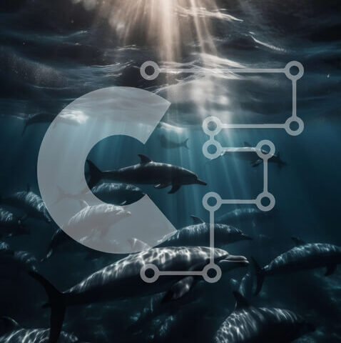 Intra Συλλεκτικό Ξύλινο Παζλ Plywood  4mm - Εκπληκτική εικόνα δελφινιών που παίζουν μαζί σε καταγάλανα νερά Σε Ξύλινο Κουτί - Διαστάσεις: 10x10 cm – 25 κομμάτια - Image 1