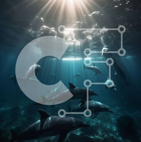 Intra Συλλεκτικό Ξύλινο Παζλ Plywood  4mm - Όμορφη εικόνα των δελφινιών που κολυμπούν στον ωκεανό Σε Ξύλινο Κουτί - Διαστάσεις: 10x10 cm – 25 κομμάτια - Image 1