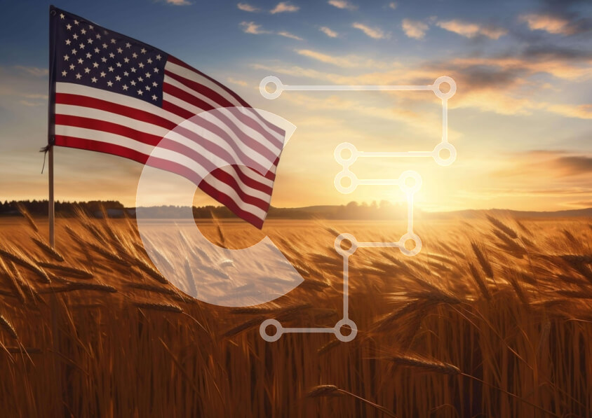 Intra Συλλεκτικό Ξύλινο Παζλ Plywood  4mm - Αμερικανική σημαία στο χωράφι σίτου στο ηλιοβασίλεμα Σε Ξύλινο Κουτί - Διαστάσεις: 10x10 cm – 25 κομμάτια