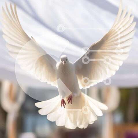 Intra Συλλεκτικό Ξύλινο Παζλ Plywood  4mm - Λευκό Περιστέρι σε πτήση με φτερά ανοιχτά Σε Ξύλινο Κουτί - Διαστάσεις: 10x10 cm – 25 κομμάτια - Image 1