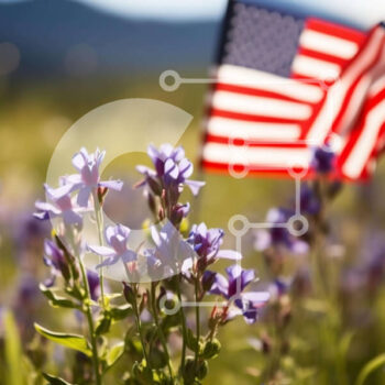Intra Συλλεκτικό Ξύλινο Παζλ Plywood  4mm - Αμερικανική σημαία σε ένα χωράφι με μοβ λουλούδια με βουνά στο φόντο Σε Ξύλινο Κουτί - Διαστάσεις: 10x10 cm – 25 κομμάτια - Image 1