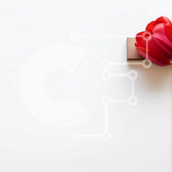 Intra Συλλεκτικό Ξύλινο Παζλ Plywood  4mm - Κόκκινη τουλίπα στον παλιό ξύλινο σταυρό για θρησκευτικούς εορτασμούς Σε Ξύλινο Κουτί - Διαστάσεις Puzzle: 10x10 cm – 25 κομμάτια - Image 1