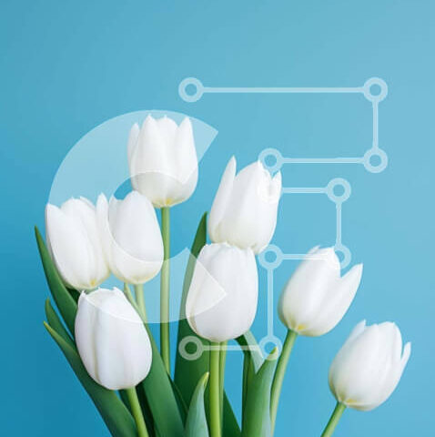 Intra Συλλεκτικό Ξύλινο Παζλ Plywood  4mm - Απλή και κομψή σύνθεση λευκής τουλίπας Σε Ξύλινο Κουτί - Διαστάσεις: 10x10 cm – 25 κομμάτια - Image 1