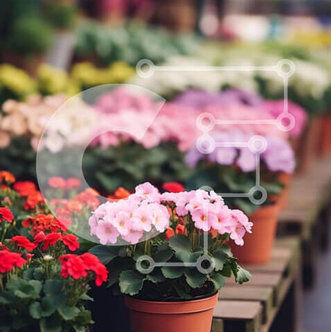 Intra Συλλεκτικό Ξύλινο Παζλ Plywood  4mm - Πολύχρωμα λουλούδια σε γλάστρες στην υπαίθρια αγορά Σε Ξύλινο Κουτί - Διαστάσεις: 10x10 cm – 25 κομμάτια - Image 1