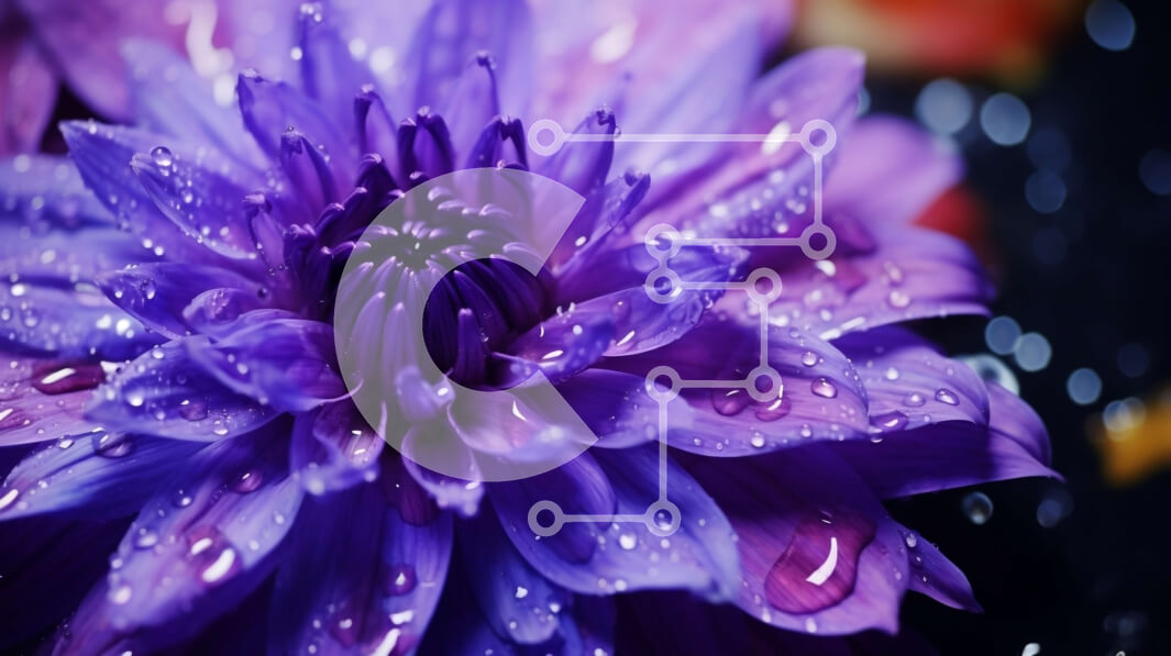 Intra Συλλεκτικό Ξύλινο Παζλ Plywood  4mm - Μωβ λουλούδι με σταγονίδια νερού Σε Ξύλινο Κουτί - Διαστάσεις: 10x10 cm – 25 κομμάτια