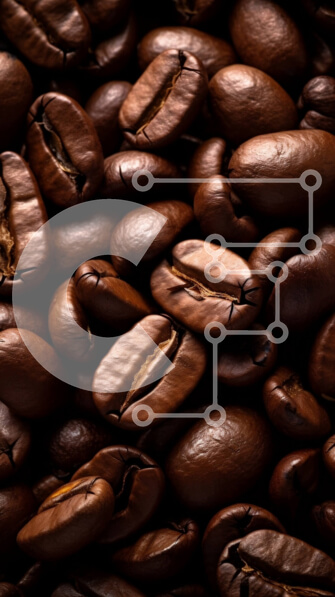 2imRjeckaUJ1Cpfa9nL8Xl308A1-desktop