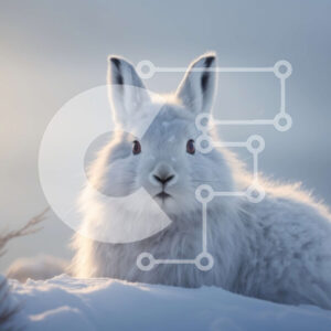 Intra Συλλεκτικό Ξύλινο Παζλ Plywood  4mm - Αξιολάτρευτη εικόνα ενός λευκού κουνελιού σε μια χειμερινή χώρα των θαυμάτων Σε Ξύλινο Κουτί - Διαστάσεις: 10x10 cm – 25 κομμάτια