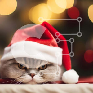 Intra Συλλεκτικό Ξύλινο Παζλ Plywood  4mm - Αξιολάτρευτη γκρίζα γάτα με καπέλο Άγιου Βασίλη Σε Ξύλινο Κουτί - Διαστάσεις: 10x10 cm – 25 κομμάτια