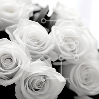 Intra Συλλεκτικό Ξύλινο Παζλ Plywood  4mm - Μπουκέτο με λευκά τριαντάφυλλα στο τραπέζι Σε Ξύλινο Κουτί - Διαστάσεις Puzzle: 10x10 cm – 25 κομμάτια - Image 1