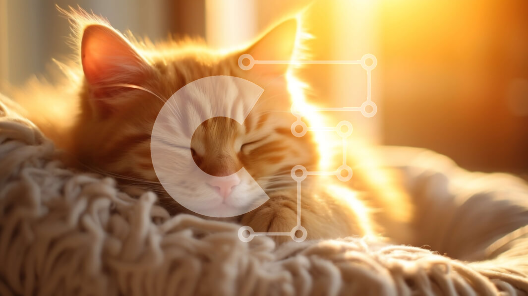 Intra Συλλεκτικό Ξύλινο Παζλ Plywood  4mm - Κοιμισμένη πορτοκαλί τιγρέ γάτα σε λευκή κουβέρτα Σε Ξύλινο Κουτί - Διαστάσεις: 10x10 cm – 25 κομμάτια