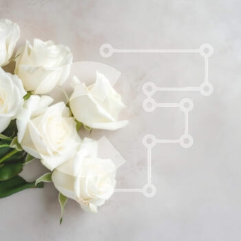 Intra Συλλεκτικό Ξύλινο Παζλ Plywood  4mm - Όμορφη εικόνα λευκών τριαντάφυλλων σε βάζο Σε Ξύλινο Κουτί - Διαστάσεις Puzzle: 10x10 cm – 25 κομμάτια - Image 1