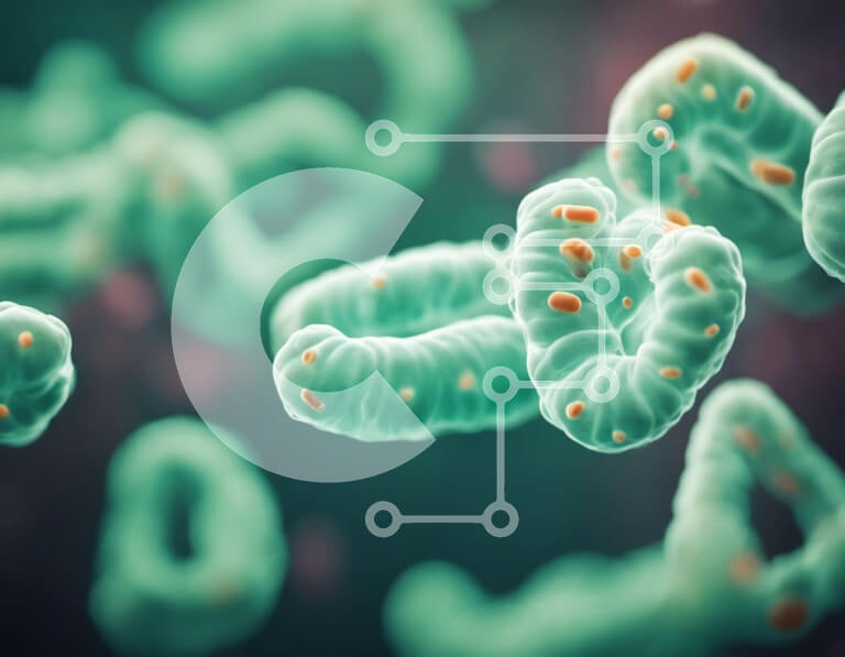 Intra Συλλεκτικό Ξύλινο Παζλ Plywood  4mm - Κοντινή όψη του μικροσκοπικού οργανισμού Σε Ξύλινο Κουτί - Διαστάσεις Puzzle: 10x10 cm – 25 κομμάτια