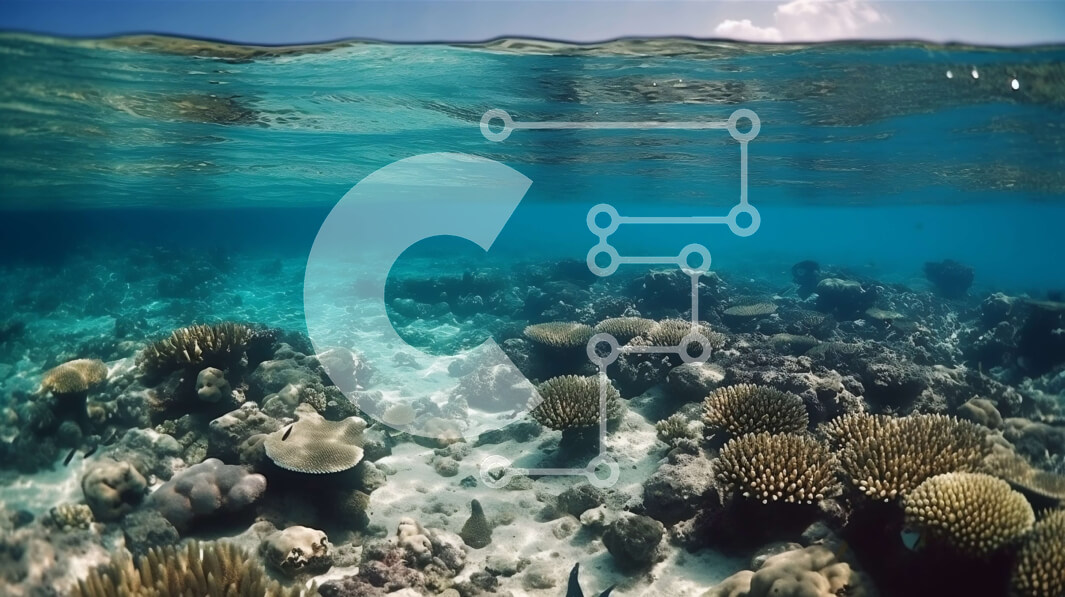 Intra Συλλεκτικό Ξύλινο Παζλ Plywood  4mm - Όμορφη εικόνα ενός πολύχρωμου κοραλλιογενούς υφάλου Σε Ξύλινο Κουτί - Διαστάσεις: 10x10 cm – 25 κομμάτια