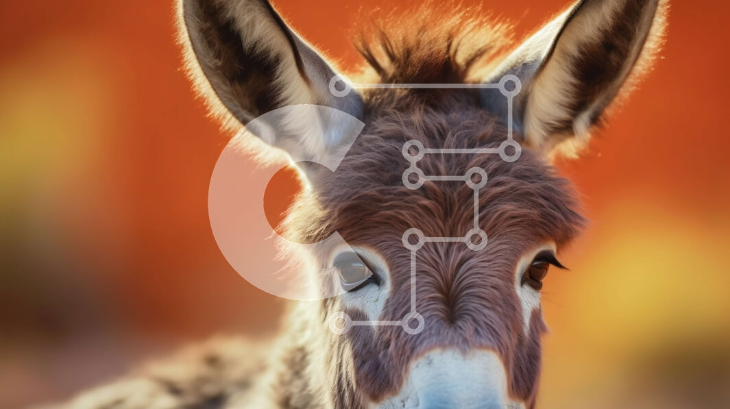 Intra Συλλεκτικό Ξύλινο Παζλ Plywood  4mm - Κοντινή όψη του προσώπου του γαϊδάρου Σε Ξύλινο Κουτί - Διαστάσεις: 10x10 cm – 25 κομμάτια